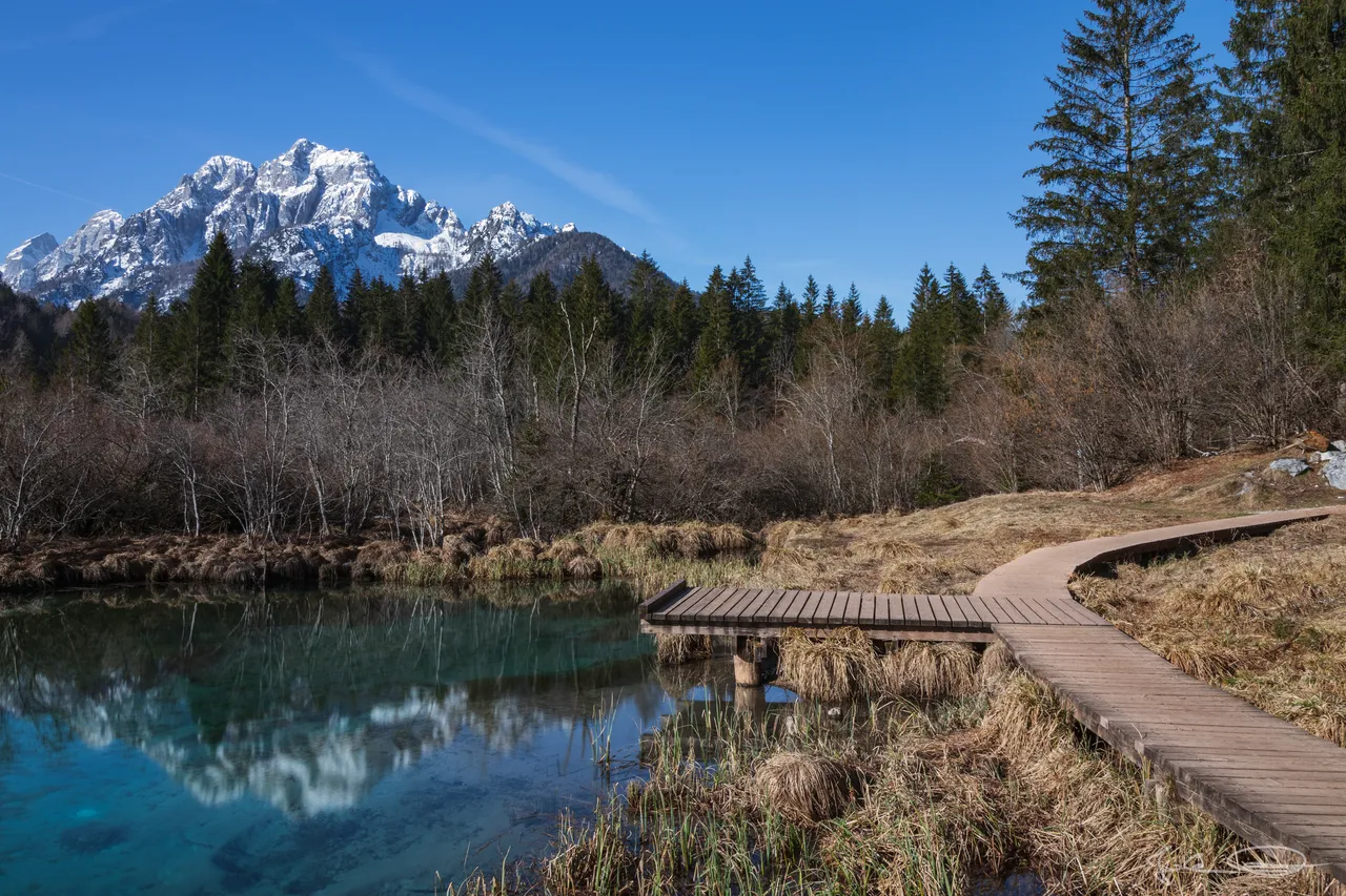2019-03-24-Slovenia-Zelenci-10.jpg
