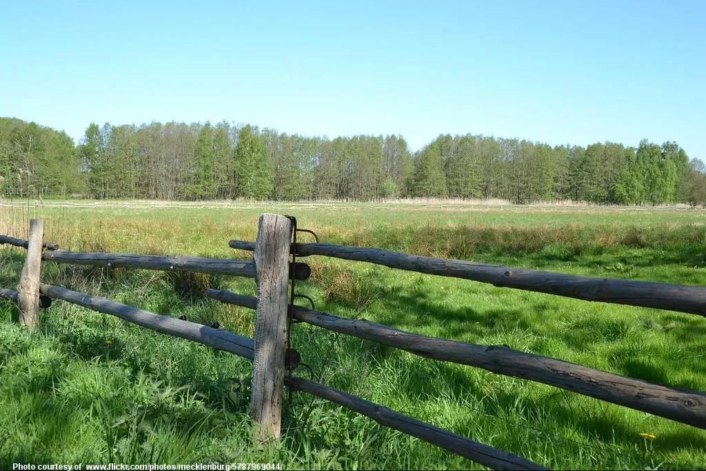 SummerFenceAndField-001-061519.jpg
