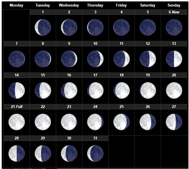 January-2019-New-Moon-Calendar.png