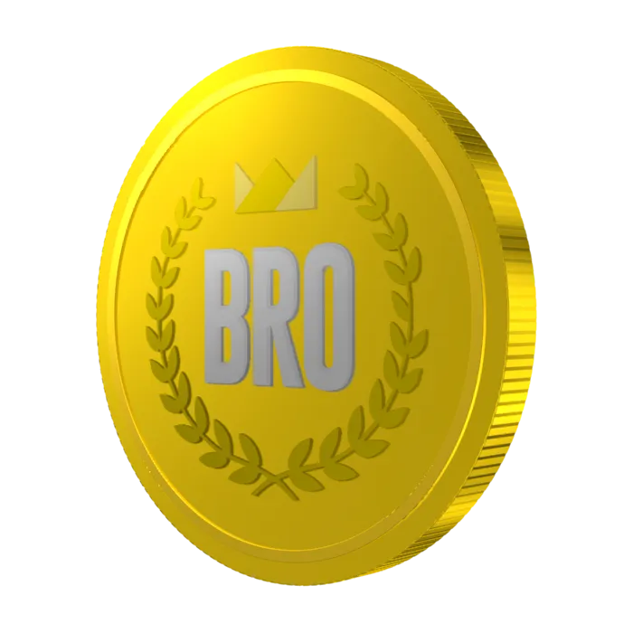 bro1.png