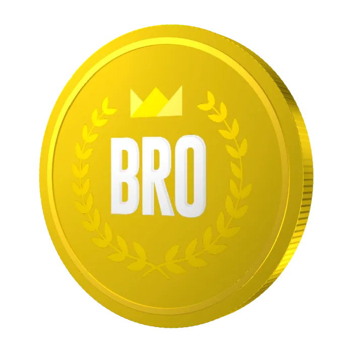 bro3.png