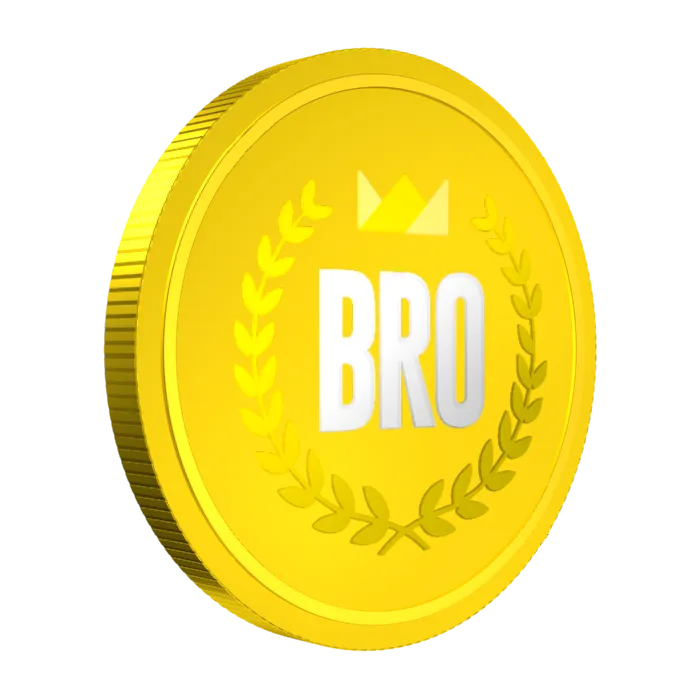 bro2.png