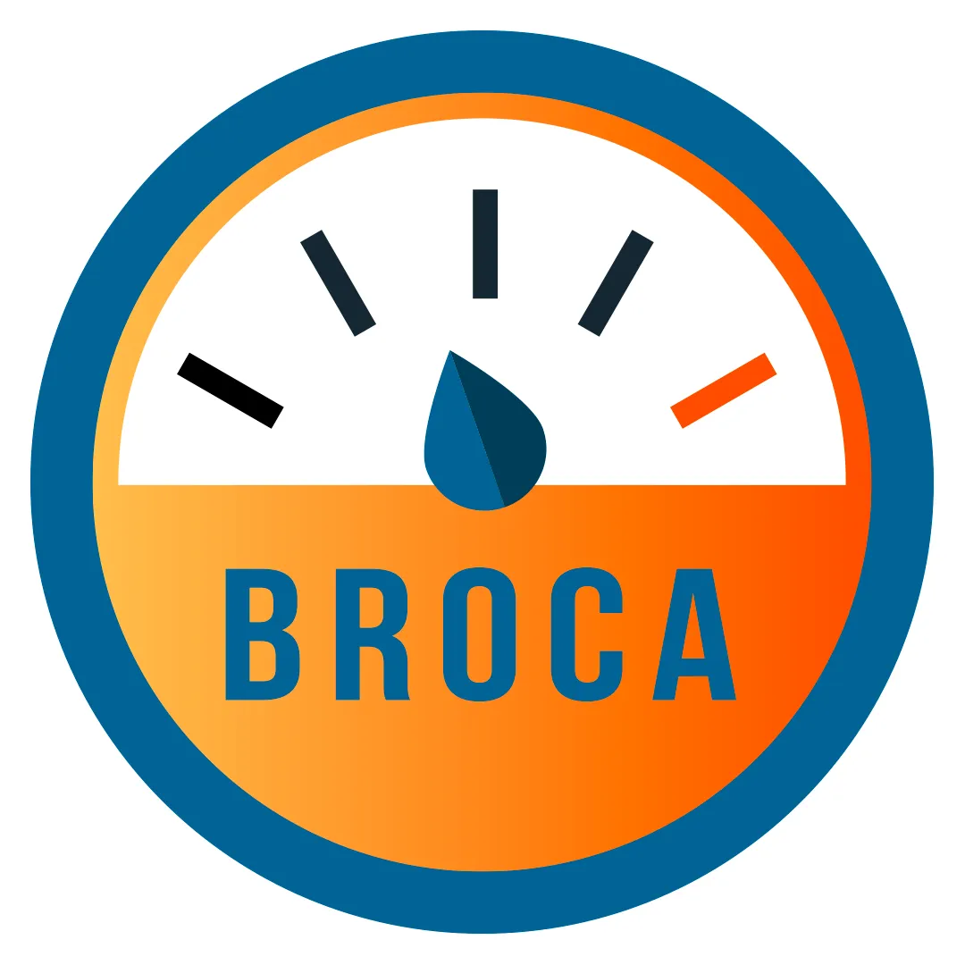 broca2.png