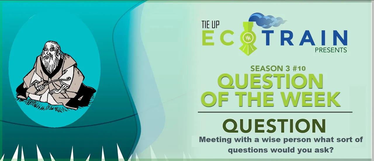 ecotrain QOTW questions for wise man Tie Up.jpg
