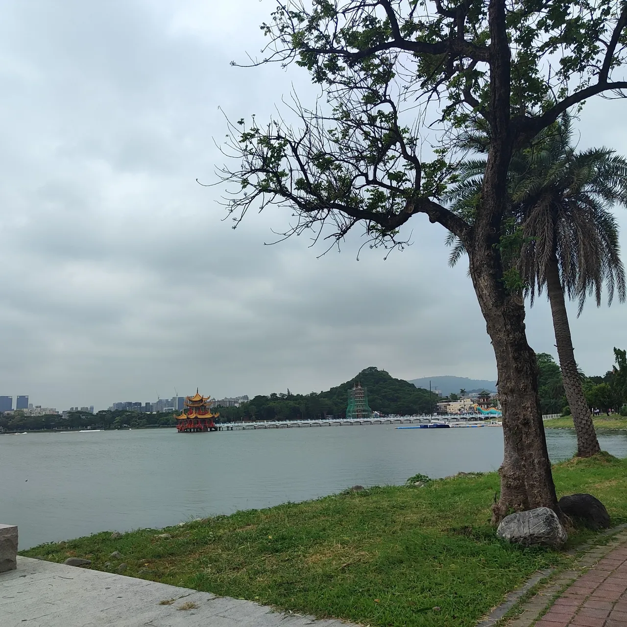IMG_20231004_121354.jpg