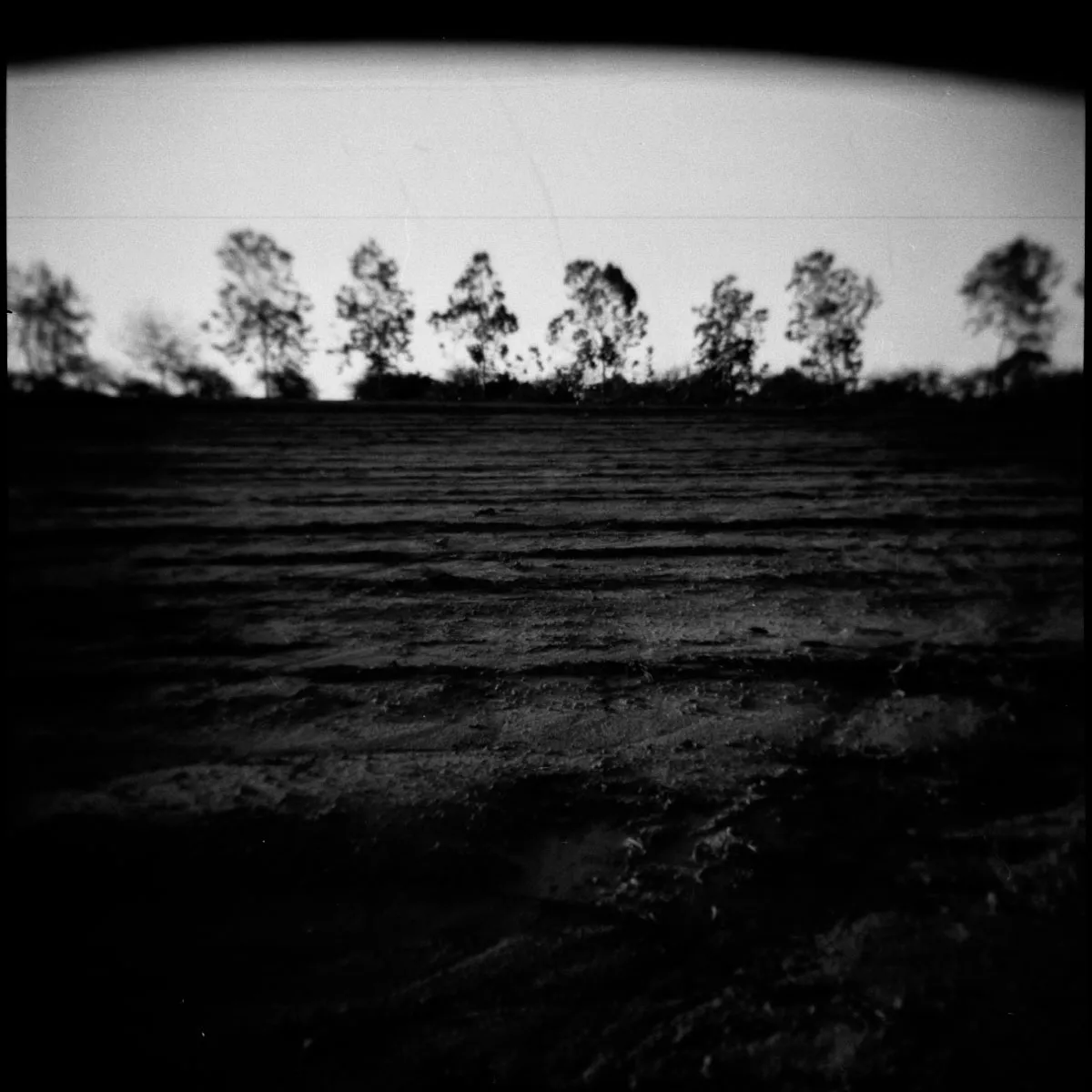 Fomapan_400_9_Holga_by_Victor_Bezrukov-9.JPG