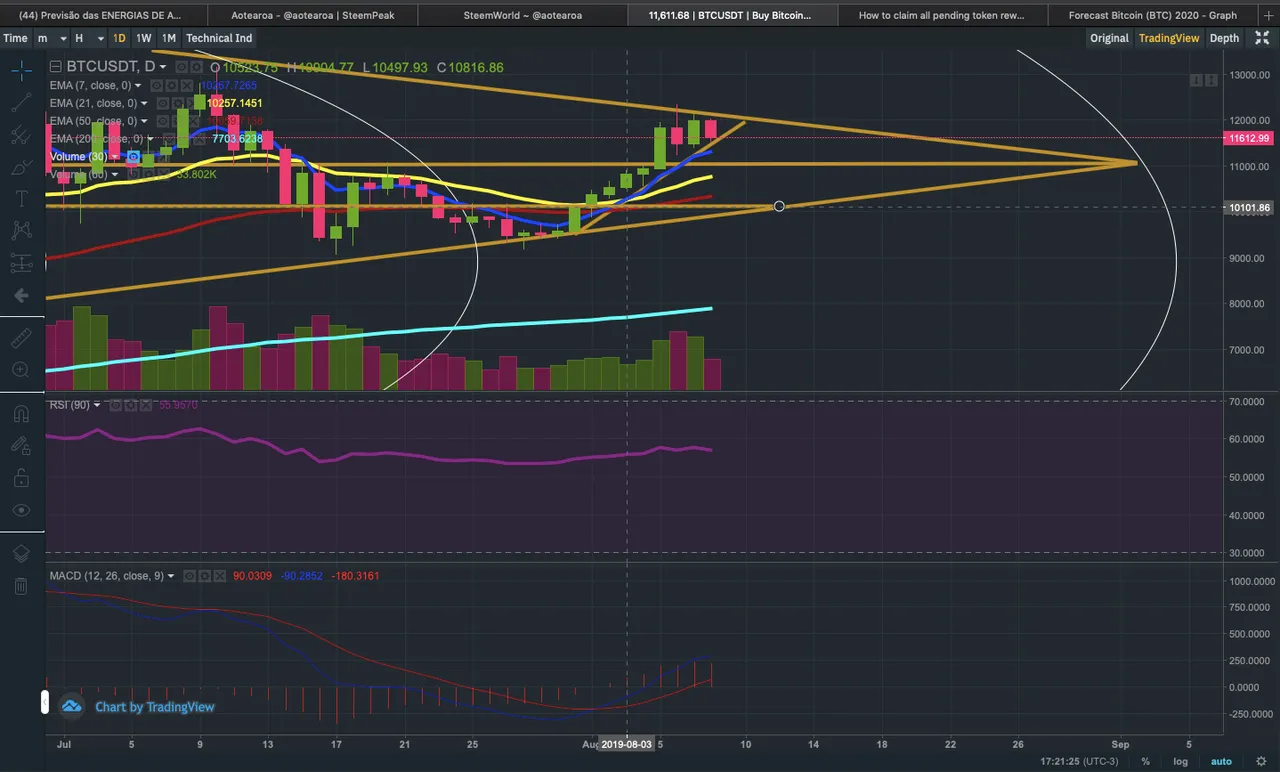 Captura de Tela 20190808 às 17.21.26.png