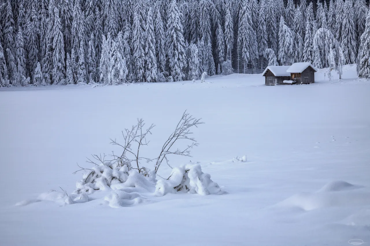 Season Hunt Challenge - Winter Hunt - SNOWY BUILDINGS