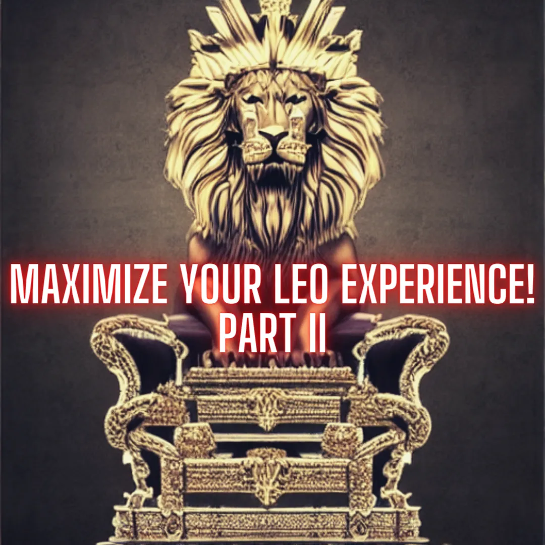 maximize-your-leo-experience-part-2.png