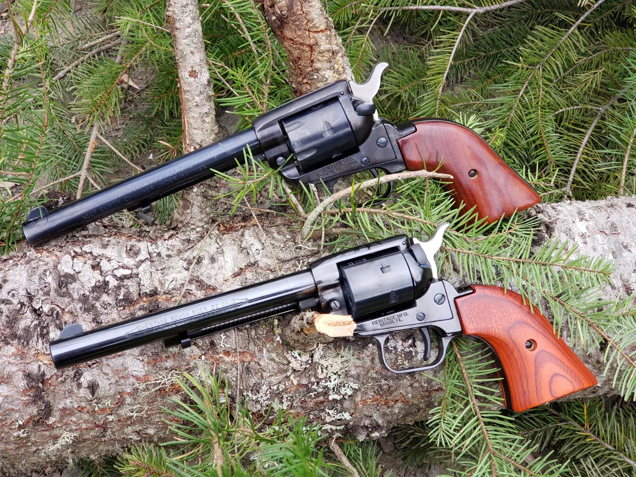 Heritage Rough Rider Revolver.jpg