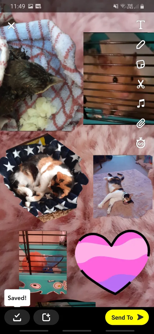 Screenshot_20220108-114924_Snapchat.jpg