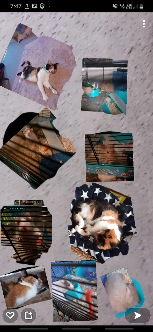 Screenshot_20220504-074712_Snapchat.jpg