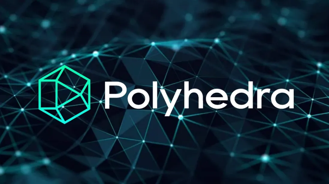 polyhedra-network-la-gi-1689749501.webp