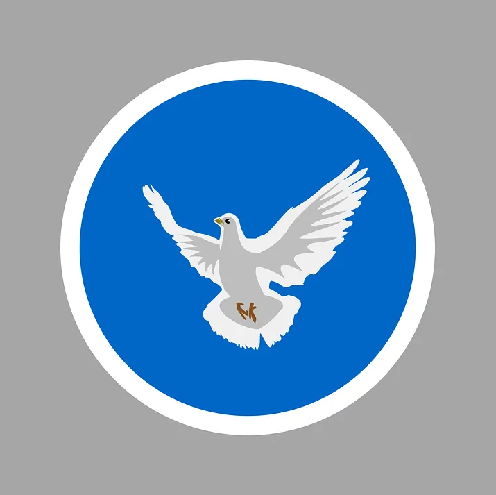 Peace Taube Pixabay Oragenics.png