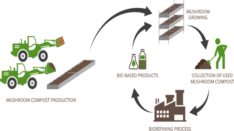 compost-production(1).png