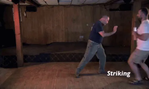 anigifINfighting.mp4