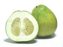 220px-Citrus_grandis_-_Honey_White.jpg