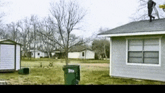WarmPiercingIndianpangolin-max-1mb.gif