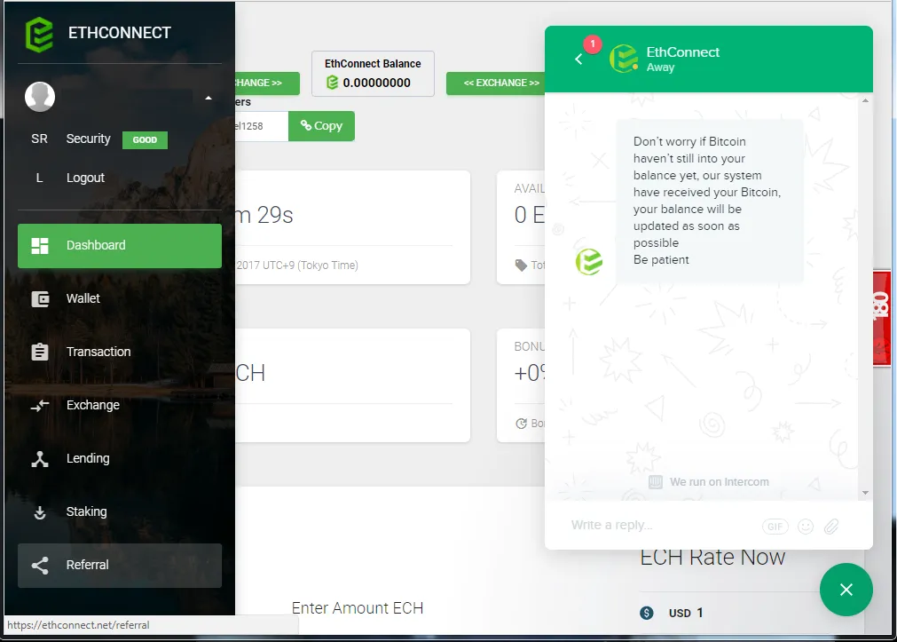 Ethconnect BTC balance error.png
