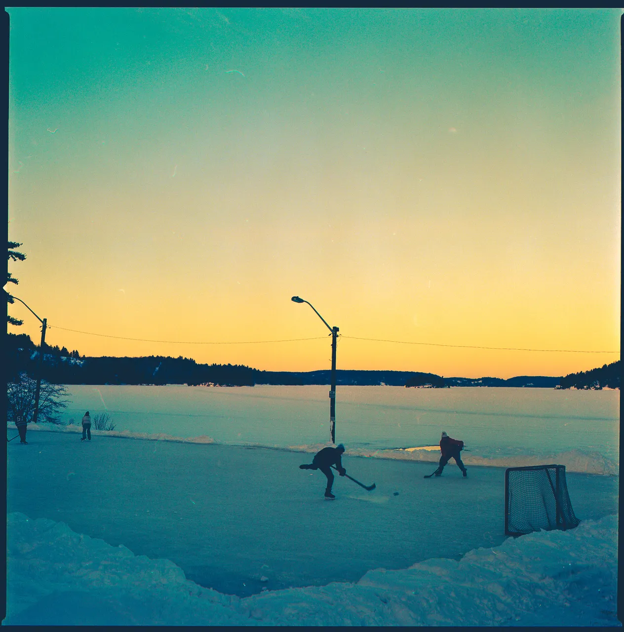 robin_muskoka_film_hasselblad-26-2.jpg