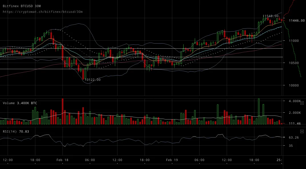 bitfinex-btcusd-Feb-20-2018-1-4-51.png