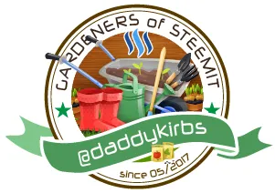 Steemit-Gardeners-daddykirbs-small.png