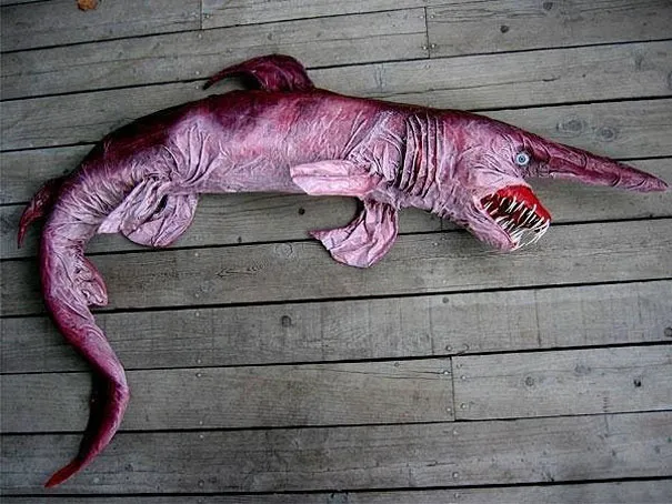 strange-animals-you-didnt-know-2-3.jpg