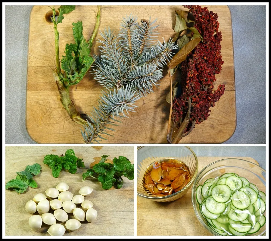 x wild cucumber syllabub 1.jpg