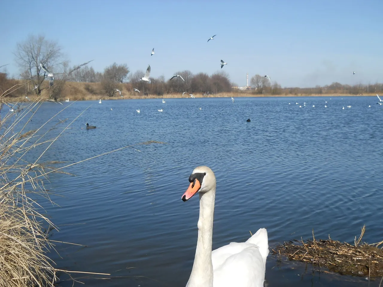 2012.03.25_zabie doły 010.jpg