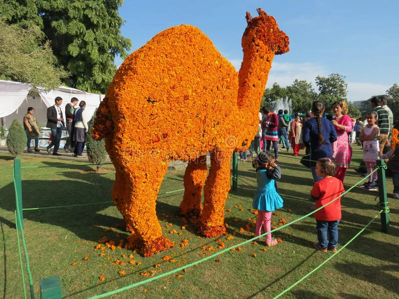 13-09-02-marigold-flower-art-rose-festival-chandigarh-visitors-admiring-posing-picture-zakir-hussain-garden-sector-66994554.jpg