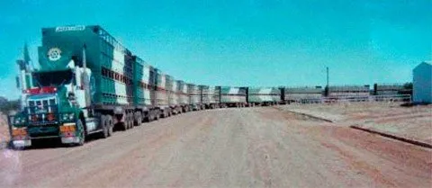 Longest-Road-Train-393dd6.jpg