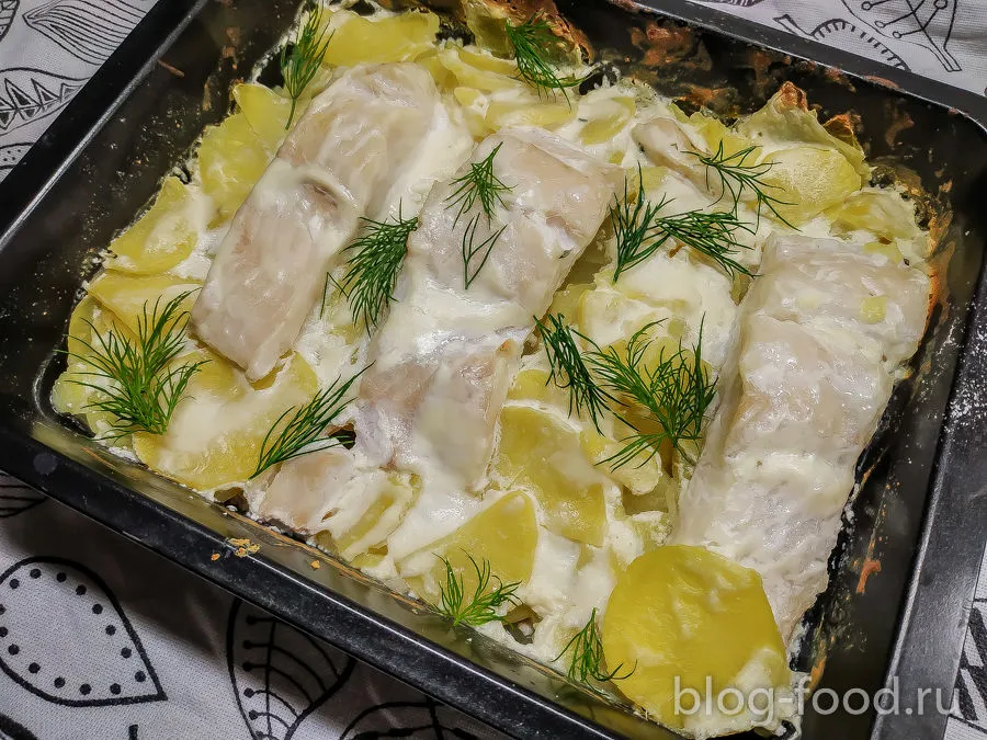 Pike perch with potatoes in cream sauce