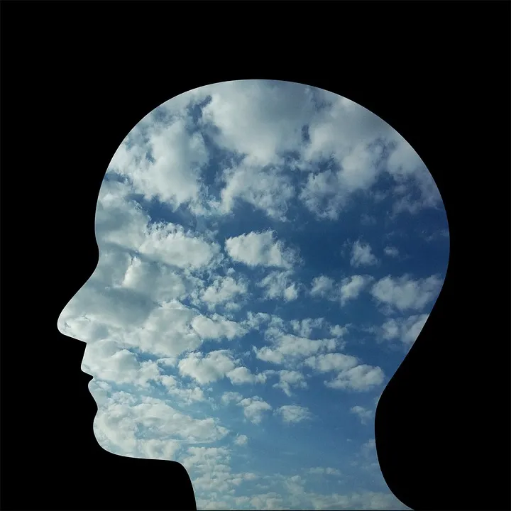 Head, Man, Person, People, Face, Profile, Solitude