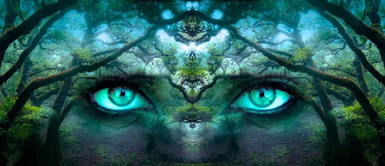Fantasy, Eyes, Forest, Branches, Face