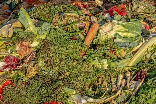 https://pixabay.com/es/photos/abono-basura-biol%c3%b3gica-desperdicio-3663514/