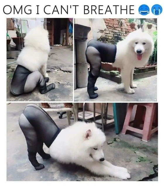 share-with-dlike.jpg