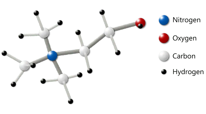 Choline is one of our favorites to be used with modafinil