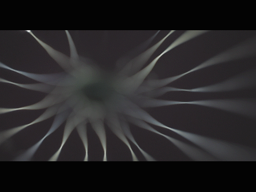 light 5a.gif