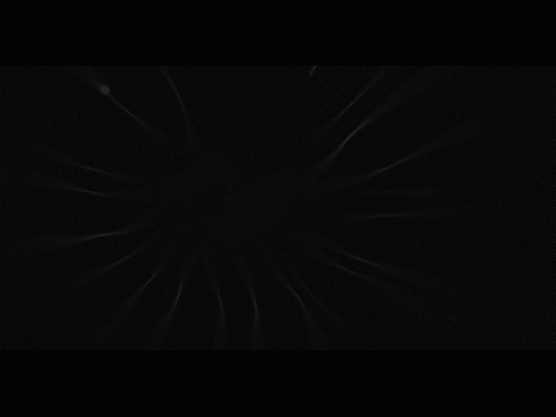 light 1a.gif