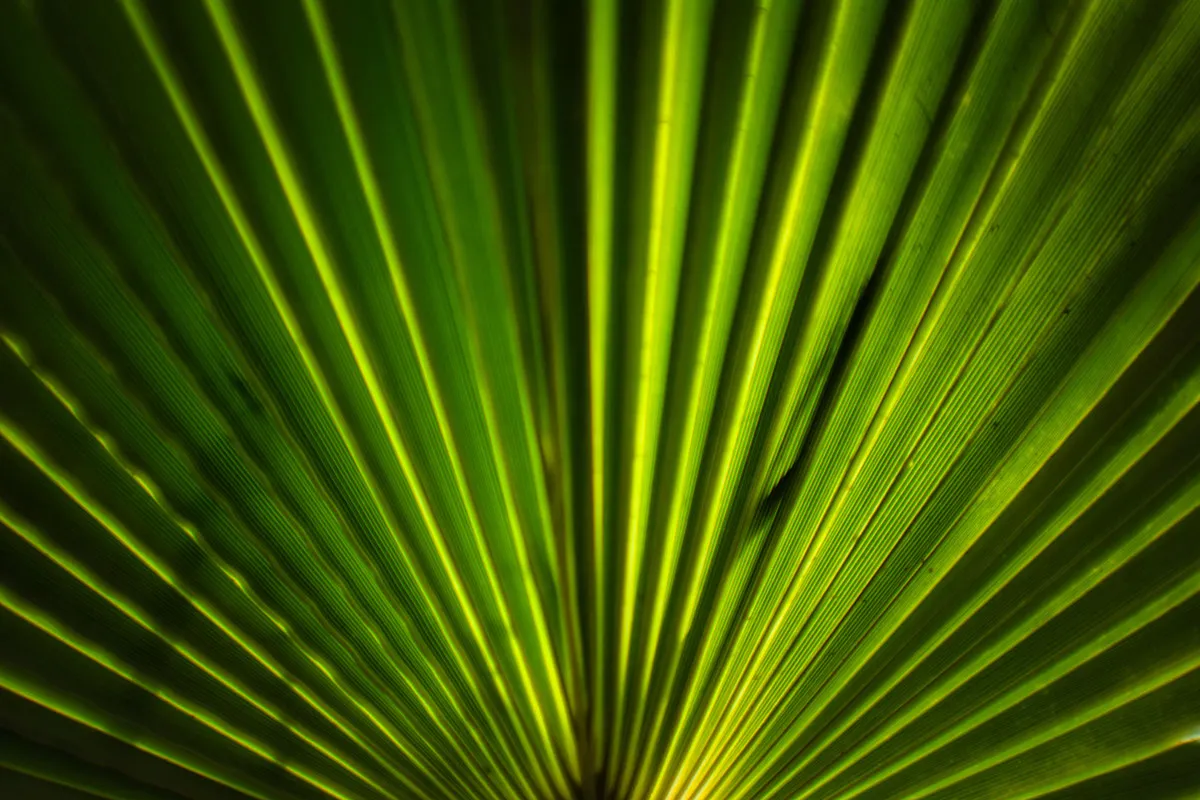 DSC_0109.jpeg