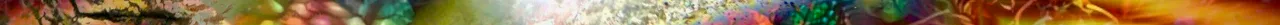 b1 62520.jpeg