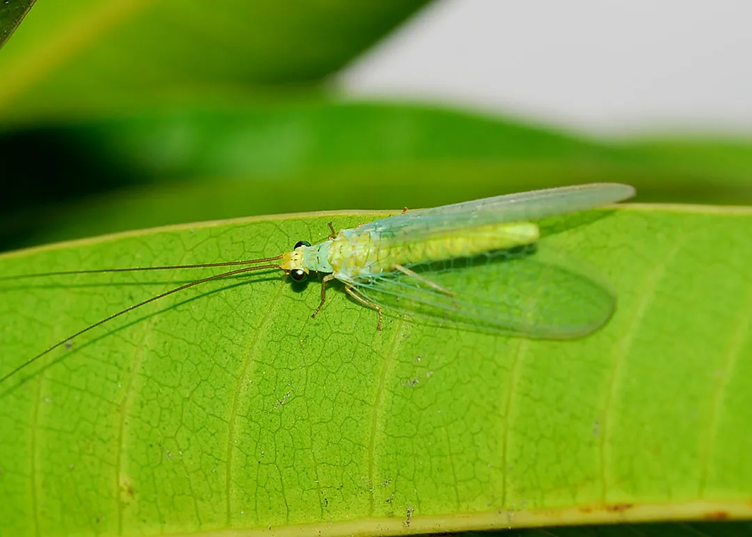 DSC_3184.jpg
