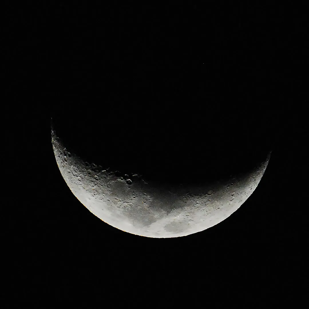 DSC_7549.jpg
