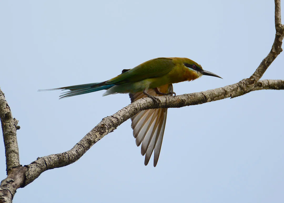 DSC_6932.jpg