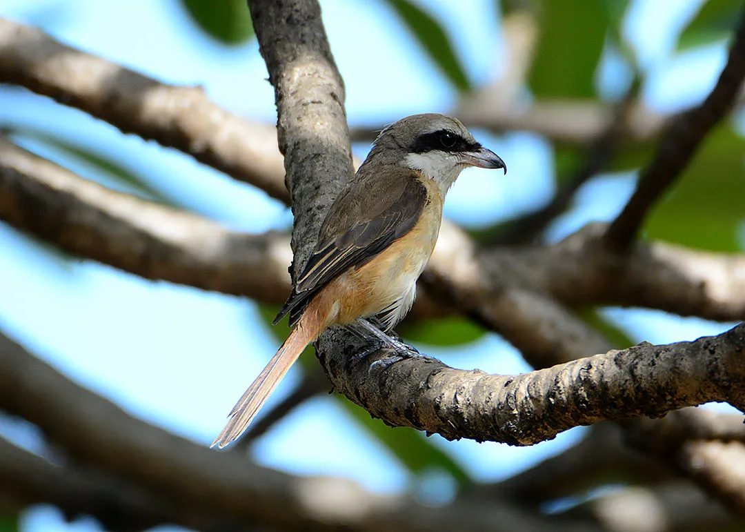 DSC_5571.jpg