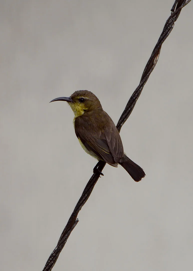 DSC_3410.jpg