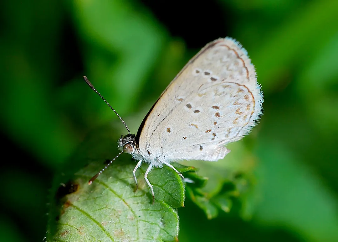DSC_4577.jpg