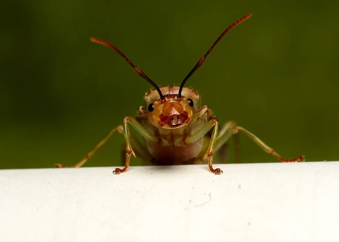 DSC_3841.jpg