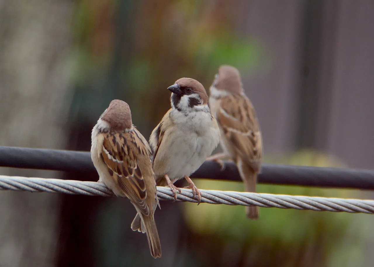 DSC_5748.jpg
