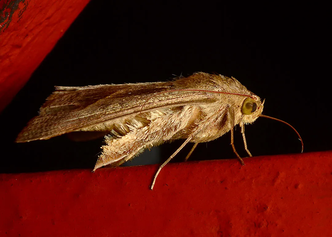 DSC_4698.jpg